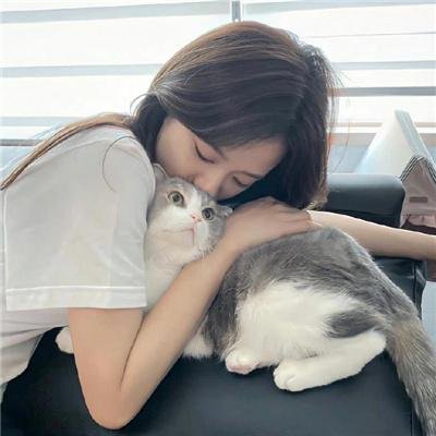 不羁骑士