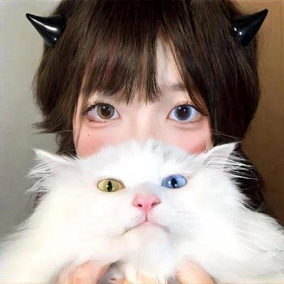 小贵族